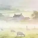 【種田】自用的種地模擬器