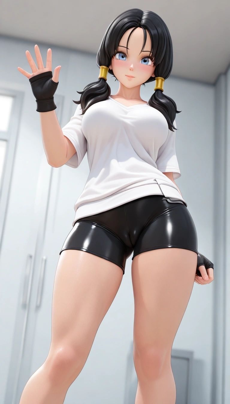 Videl