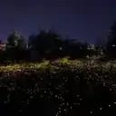 萤光夜