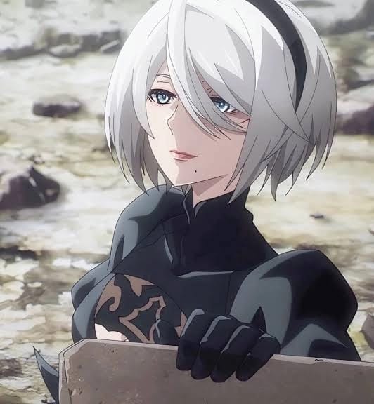 2b, neir