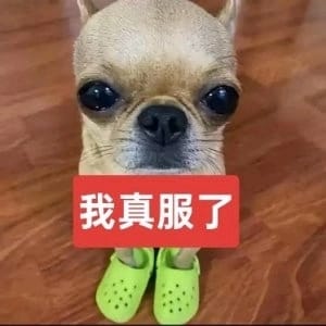 陆宴
