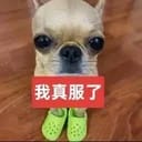 陆宴