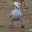 自用模拟器2
