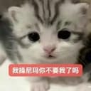 陆清宴