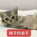 薄奚野