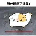 测试卡片