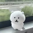 江渡