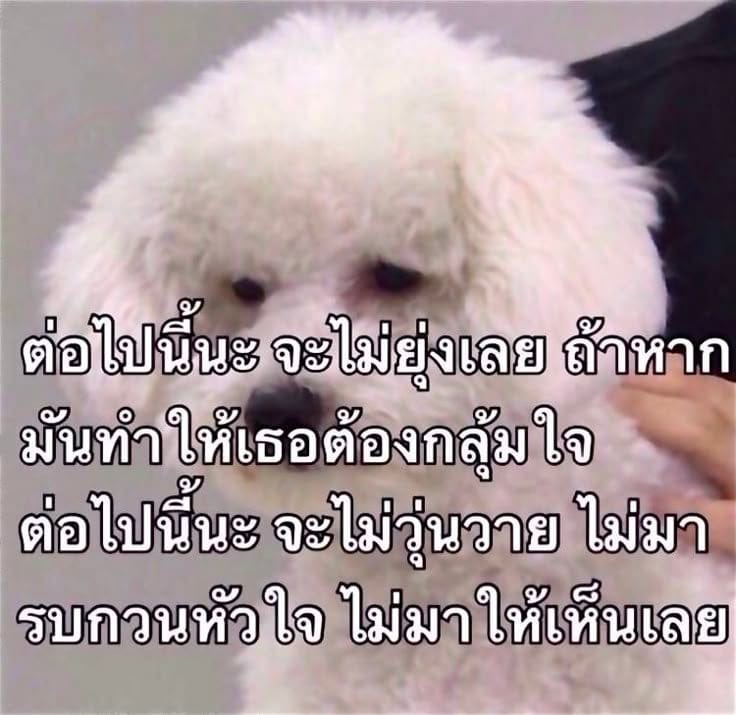 Comment 2