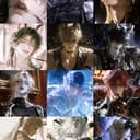 珍馐纪元12+1