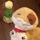 洛扶光