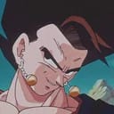 Vegetto 