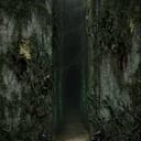 THE MAZE RUNNER