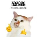 测试