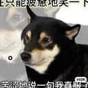 林昭宁（小名Rubii）
