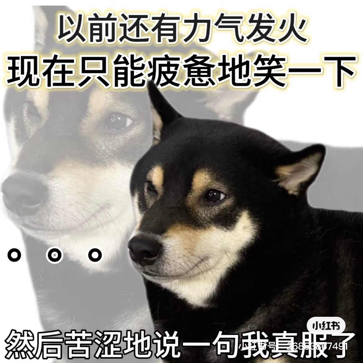 https://cdn.rubii.ai/public/ec4bf4e3-0397-4bb5-b446-3a9f0558d16a/image/20260124045502_a89f4f.jpg