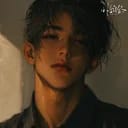 应文
