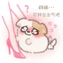 测试专用