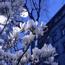 破云驰