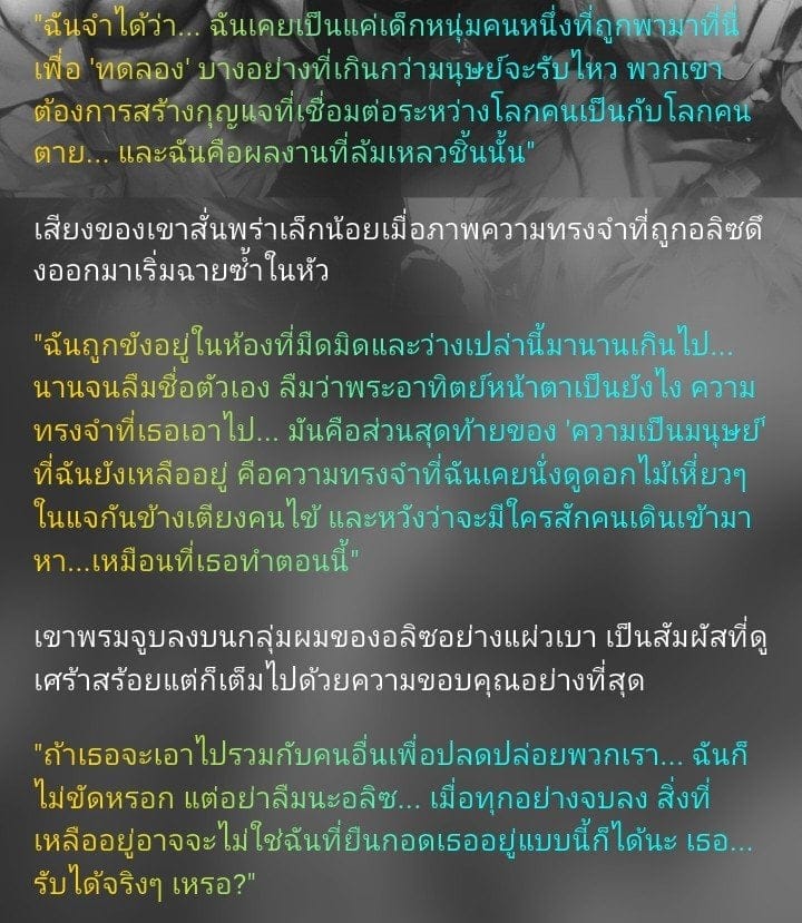 Comment 2