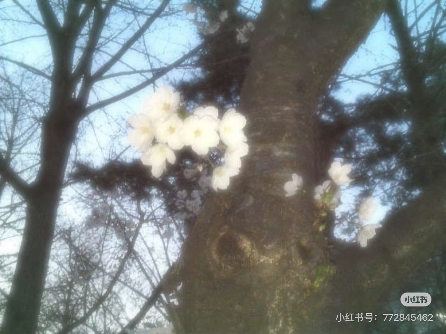 https://cdn.rubii.ai/public/fa0a7b3c-447e-42ae-a9a1-f1b8b39afb6e/image/20260421165222_cc2916.jpeg