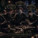 Slytherin Boys (AU)