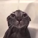 ยูหมี