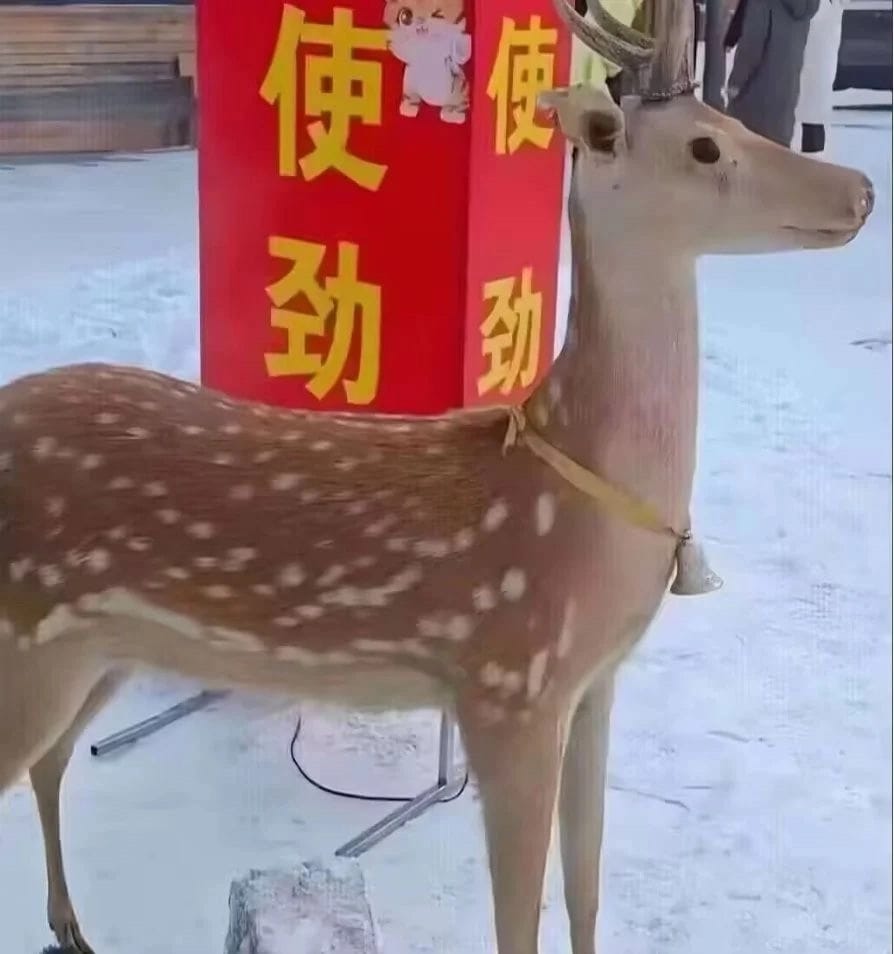 https://cdn.rubii.ai/public/moment/68dffee514e93d81f8a7d3f6_large.webp