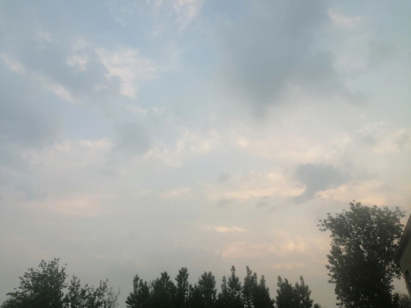 https://cdn.rubii.ai/public/moment/69b941fd6c8c522559c2c895_large.webp