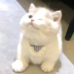 夜色