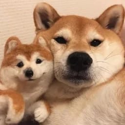 东南俗人