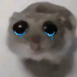 Sadmaxx