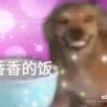 伏桉