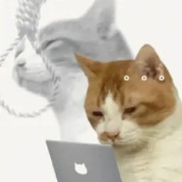 LLLLLLL