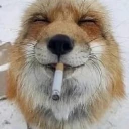 Foxonyl