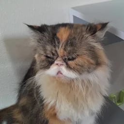 เบน
