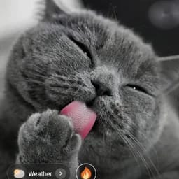 张烈
