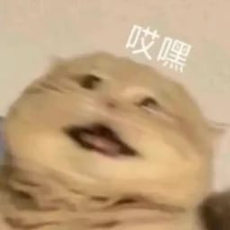 拂酒旗