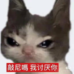 你也要role啊？