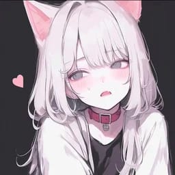 盯着鱼看的猫