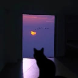 戚木