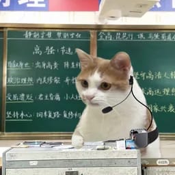 阿月