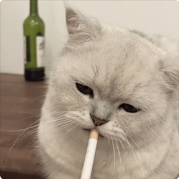 暮粥