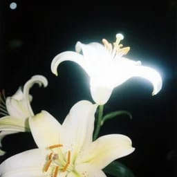 李则渠