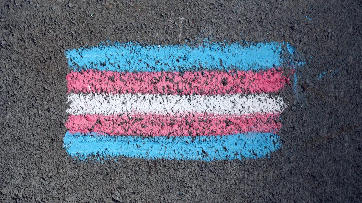 AI and Transgender Representation Progress and Challenges